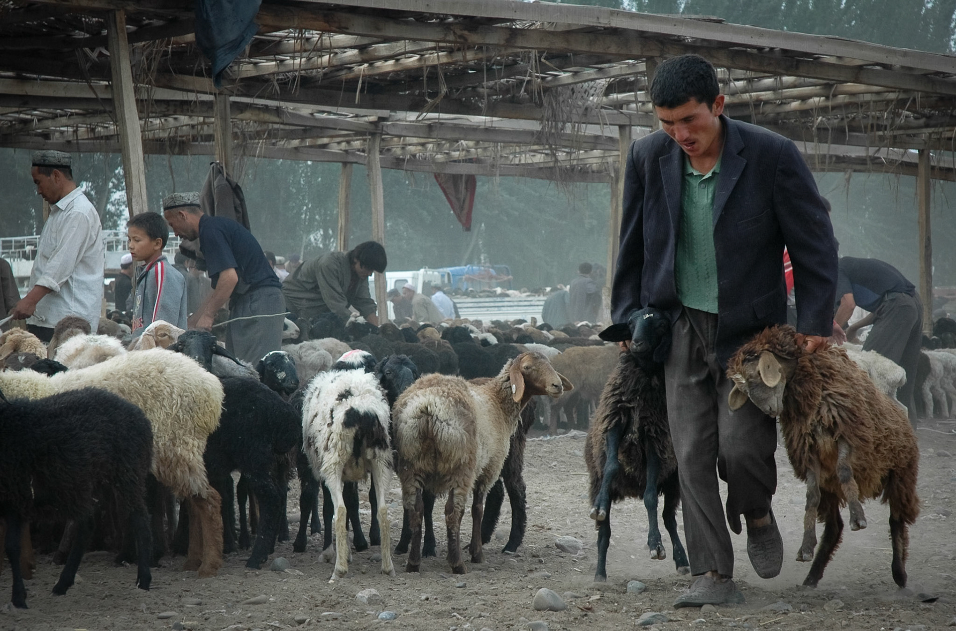 Cattleman at Mal Bazaar (Kashgar, China)