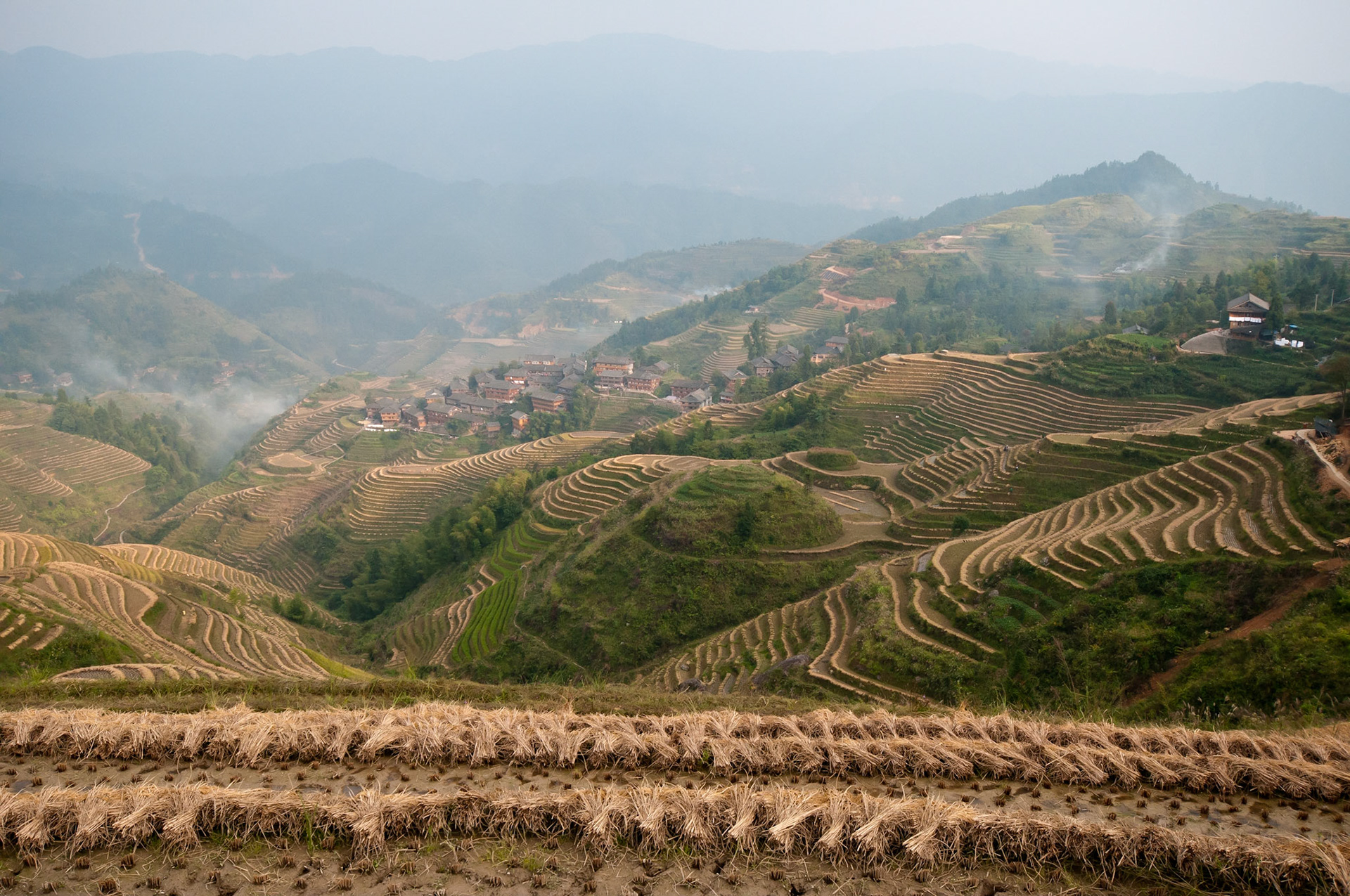 Longji Rice Terraces (Guanxi, China)