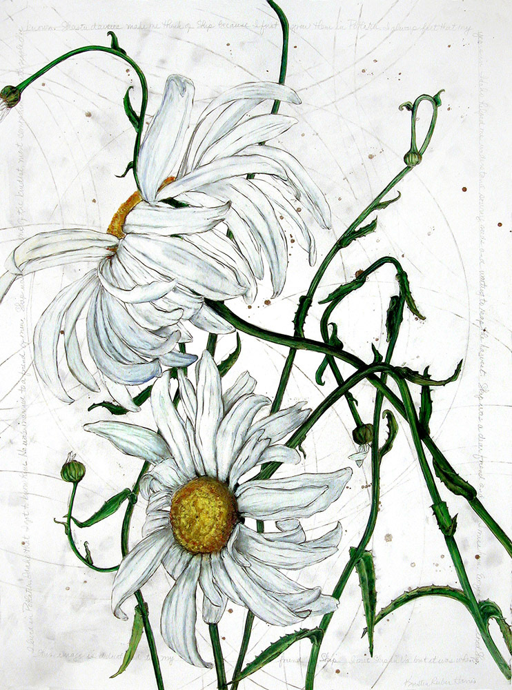 Shasta Daisy, 2011, mixed media on paper