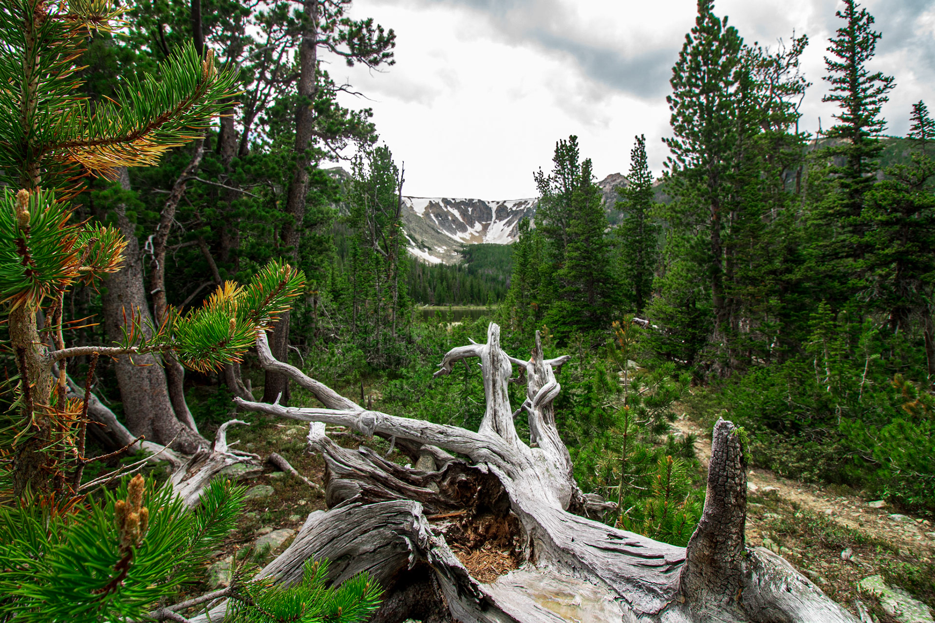 Dustin Parry Basin Lakes Trail No. 61 Red Lodge, Montana