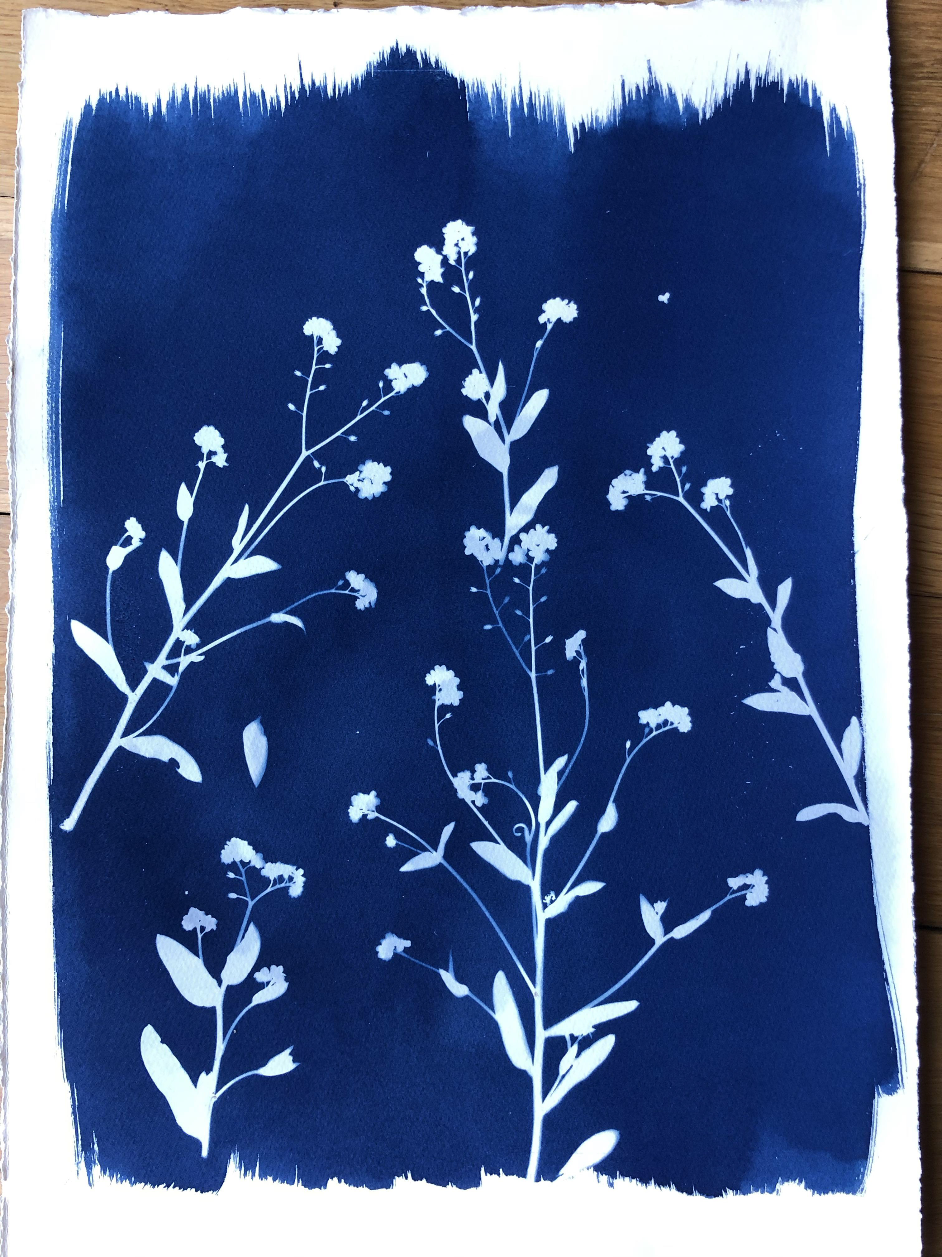 finished cyanotype