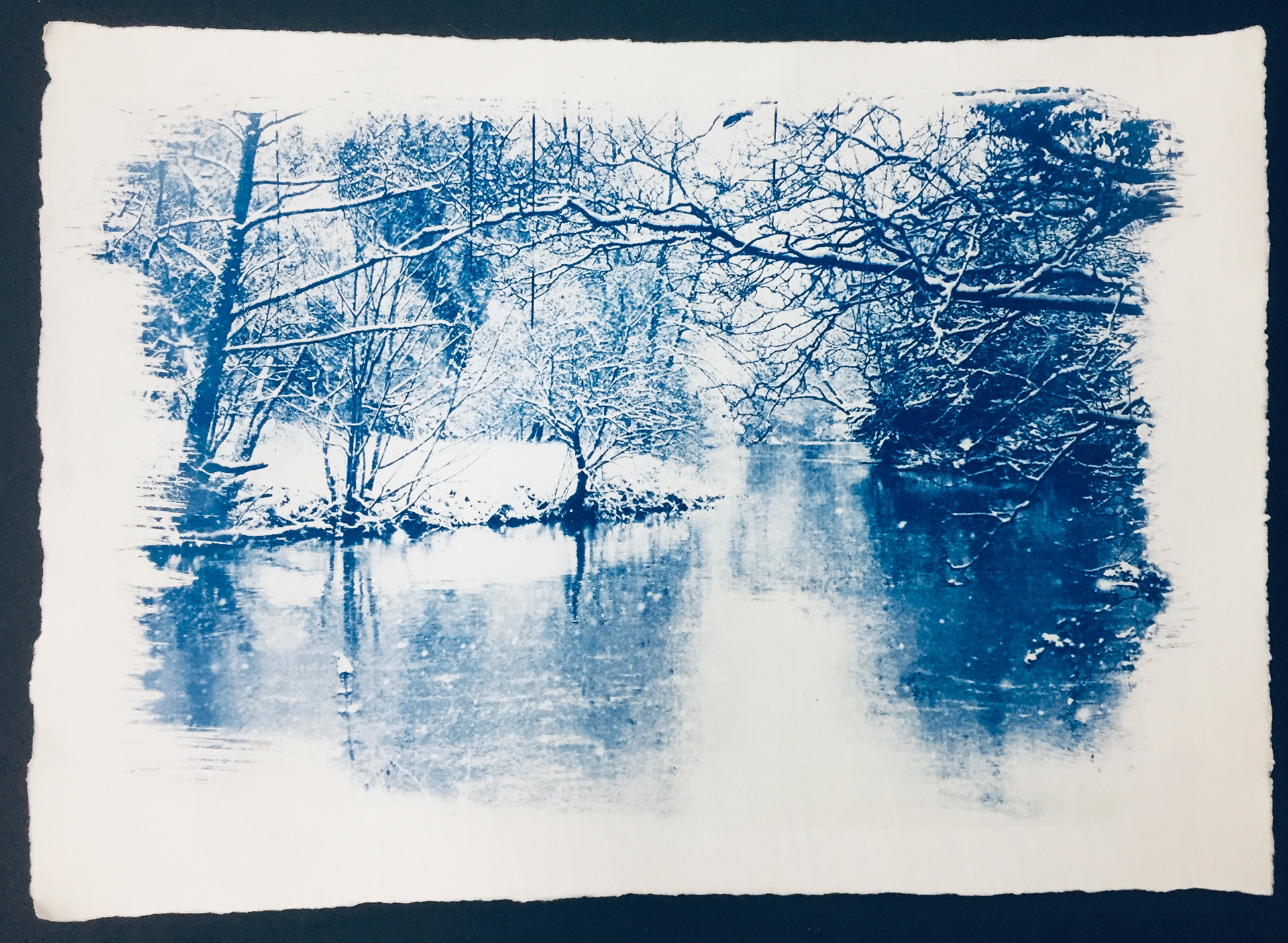 Digital negative cyanotype