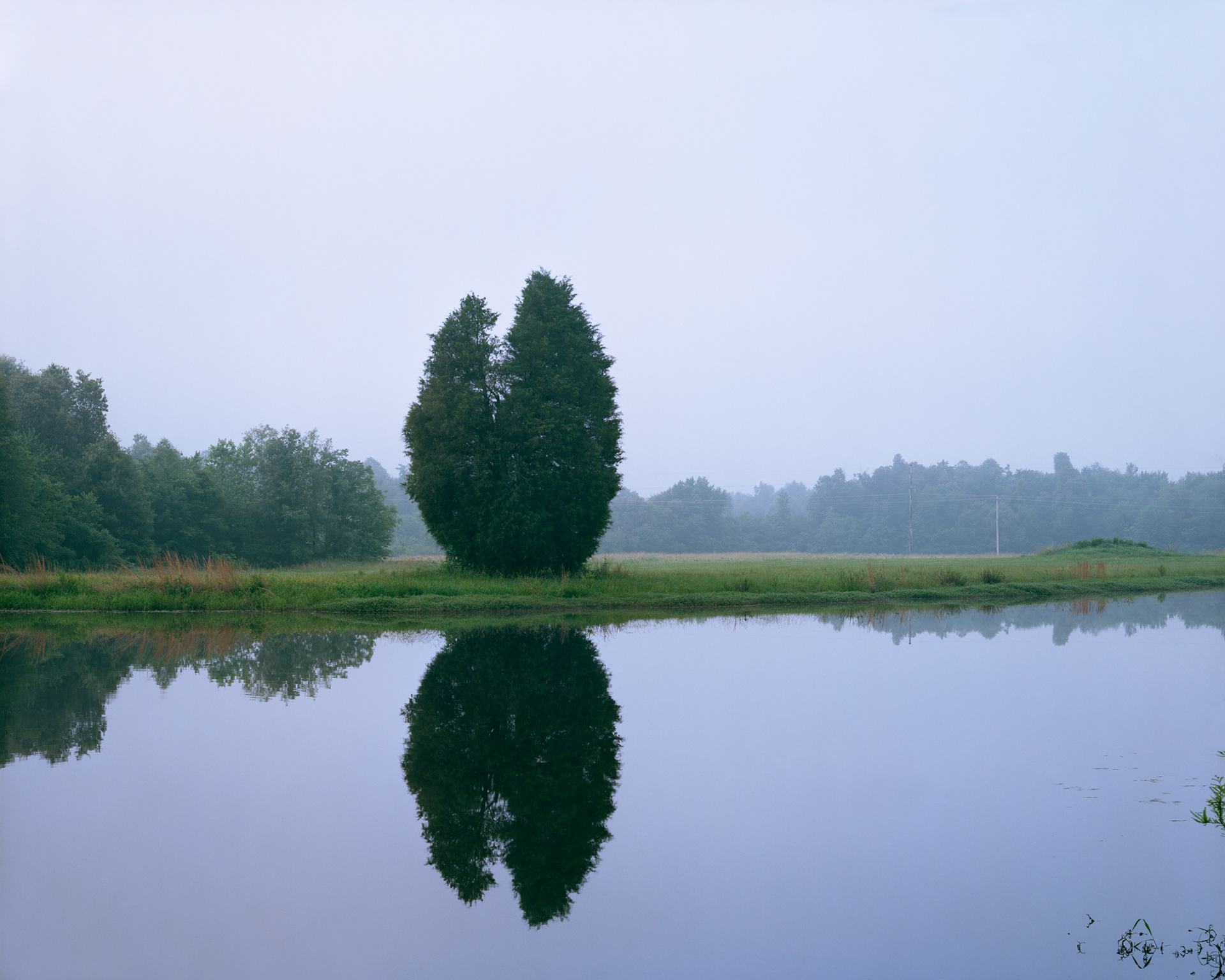 Evergreen Near Nuclear Enrichment Plant, WMA, Kentucky
