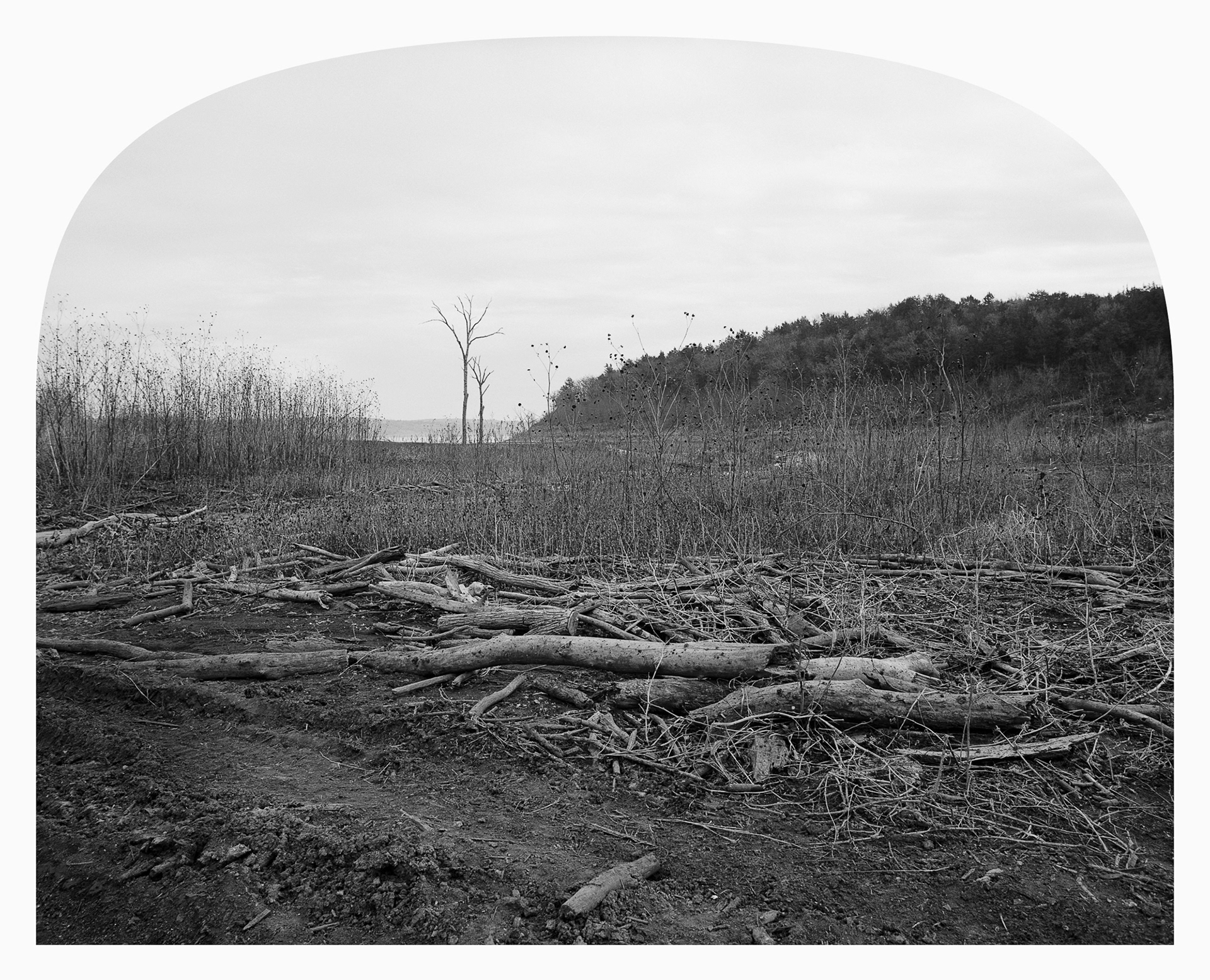 Collateral Damage #1, Randolph ORV Area, Kansas