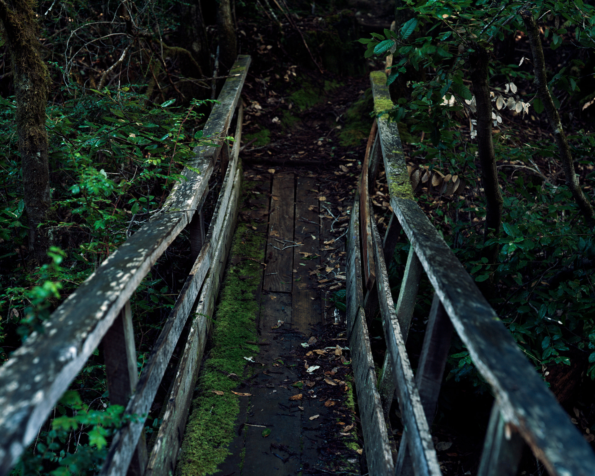 Handmade Bridge, Bello Ranch, California