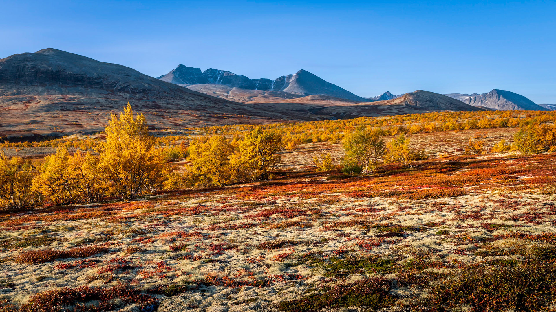 Rondane