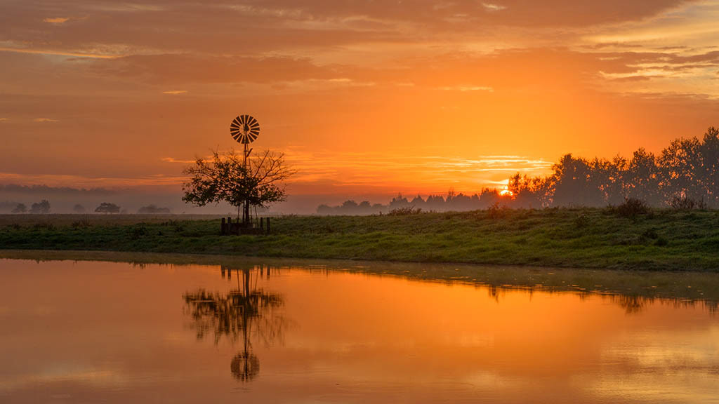 Sunrise, Richmond Lowlands, NSW.