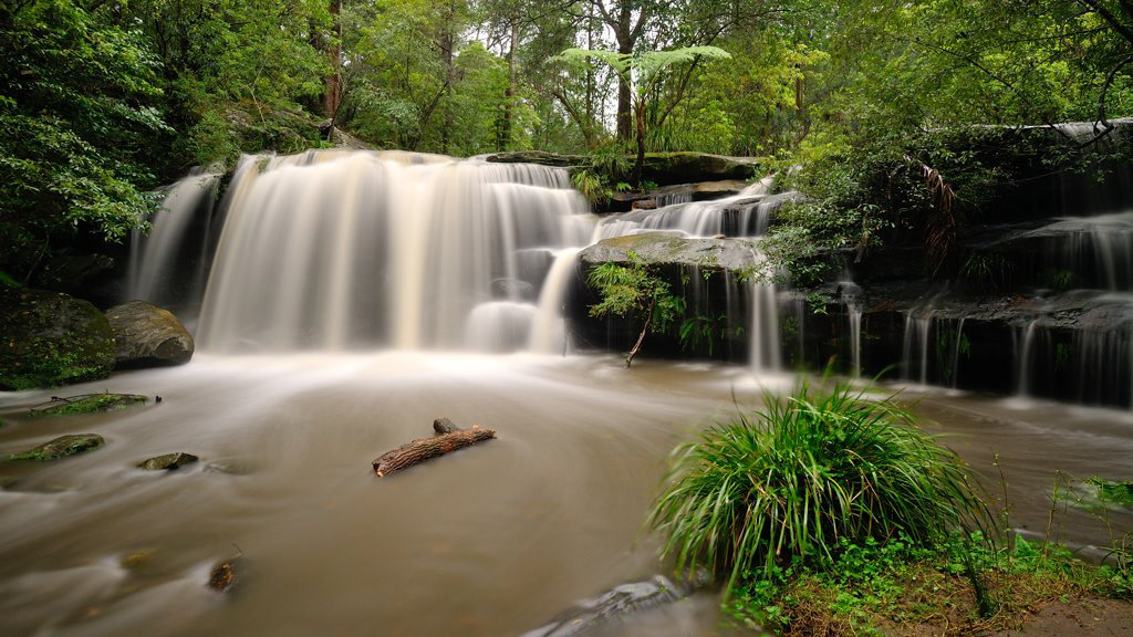 Balaka Falls, Carlingford, NSW.