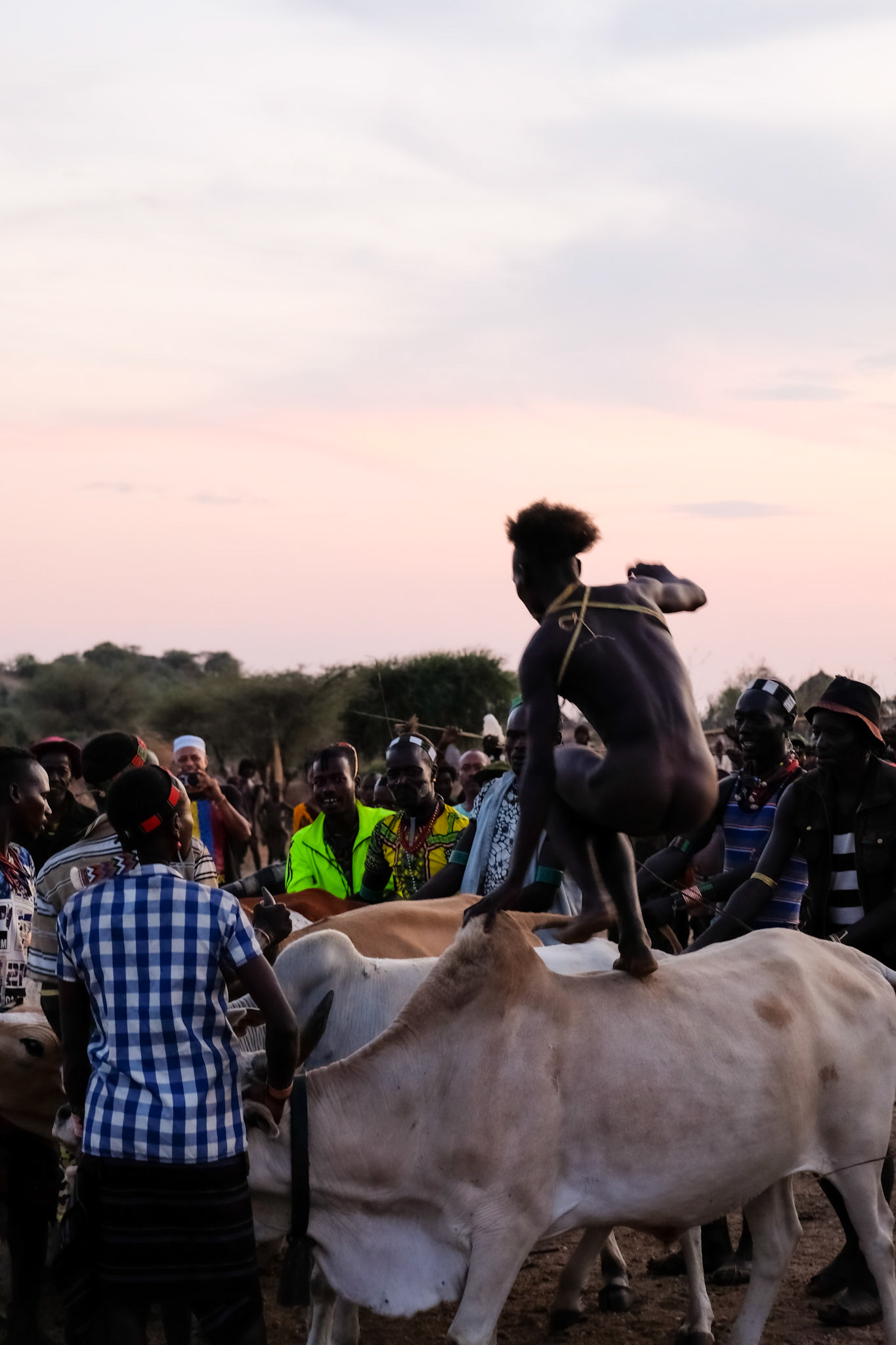 Hamer Tribe // Bull Jumping Ceremony