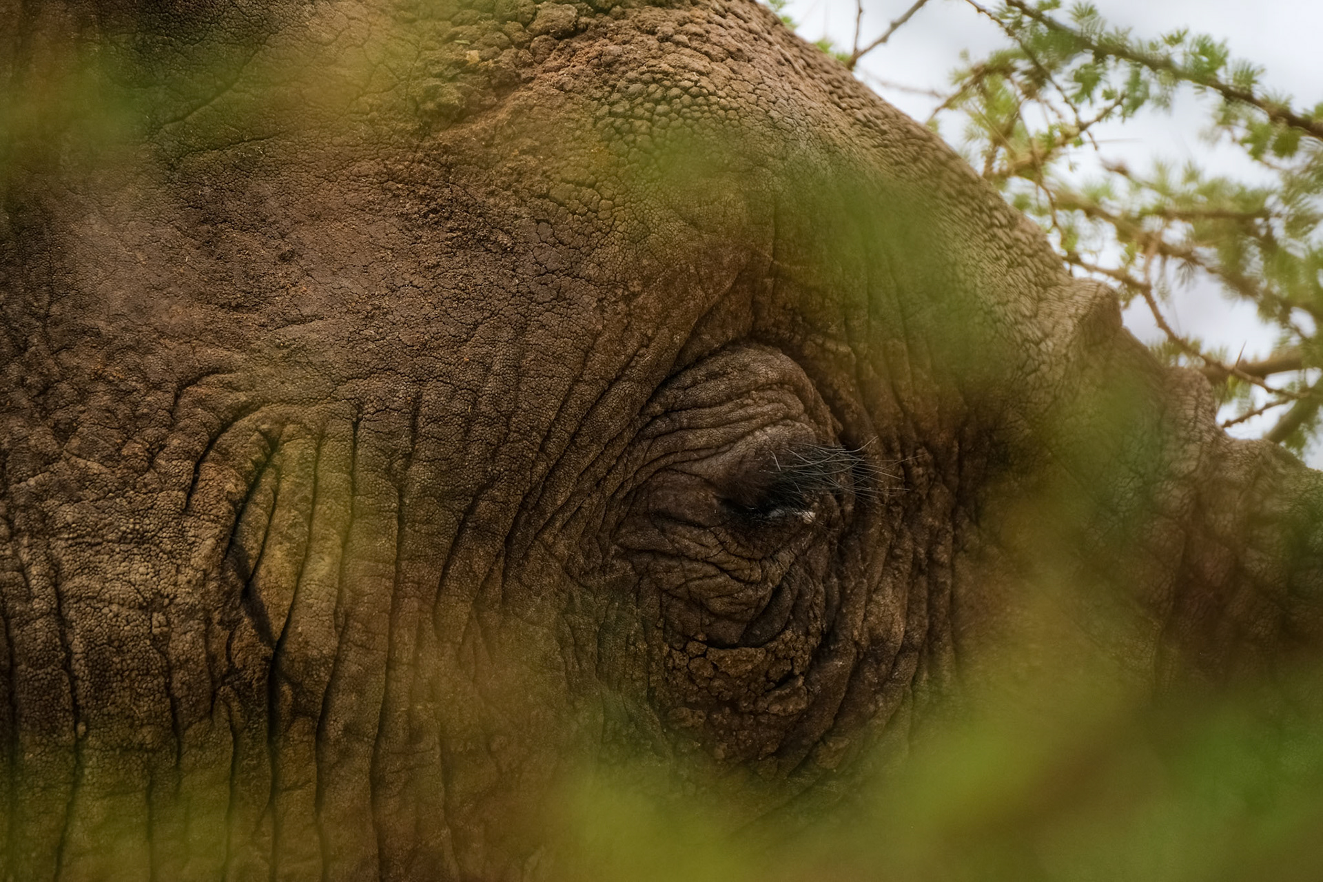 Tarangire National Park