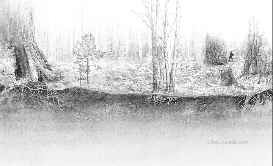 Initial sketch for Talking Trees