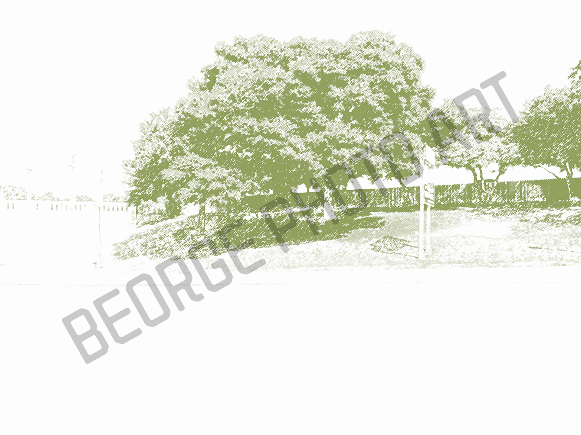 The Grassy Knoll Mystery