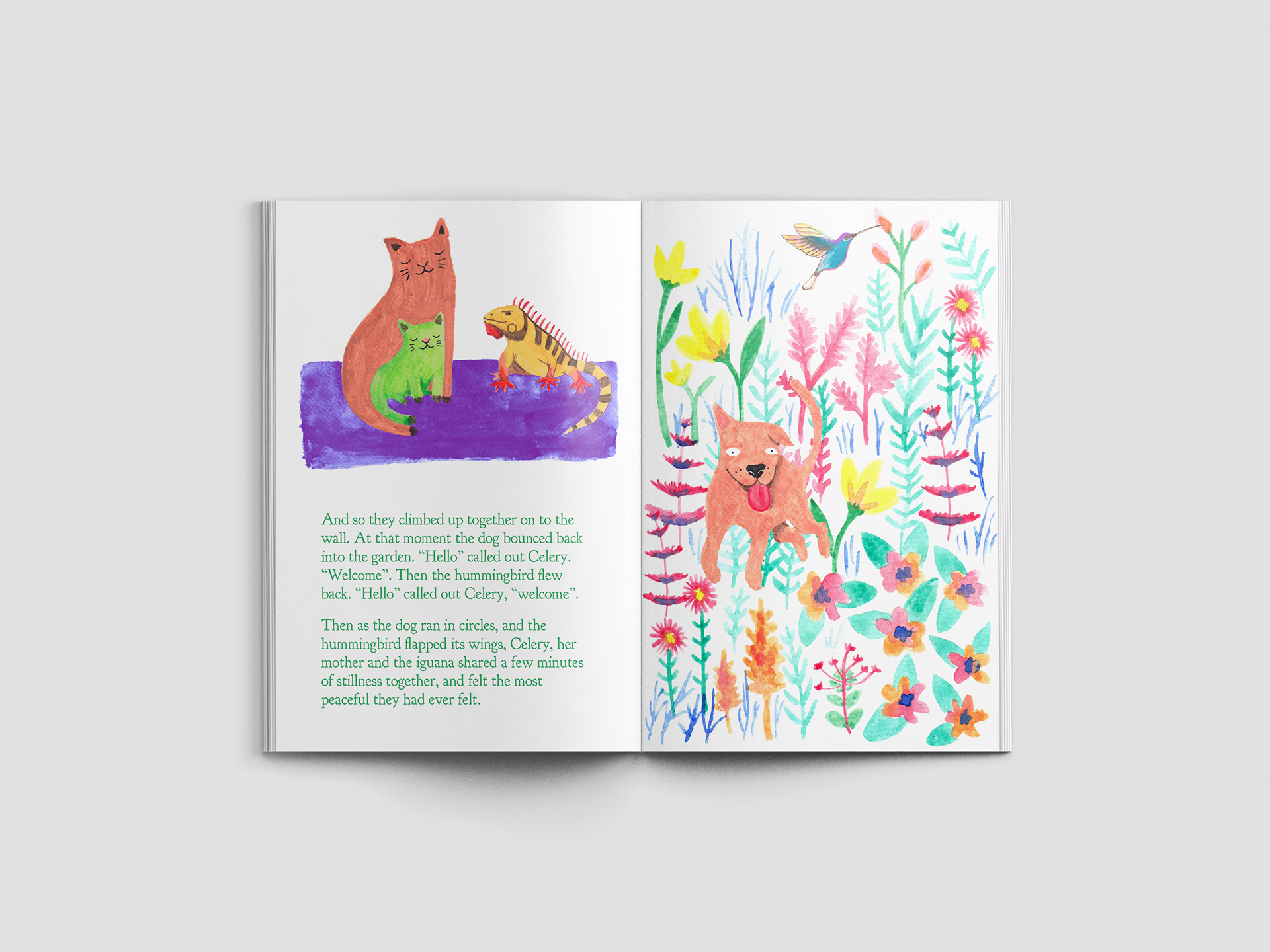 Liberation Works - Celery the house cat - Children's book