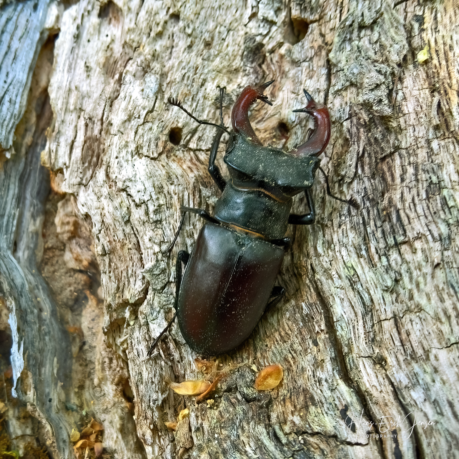 Bug 49