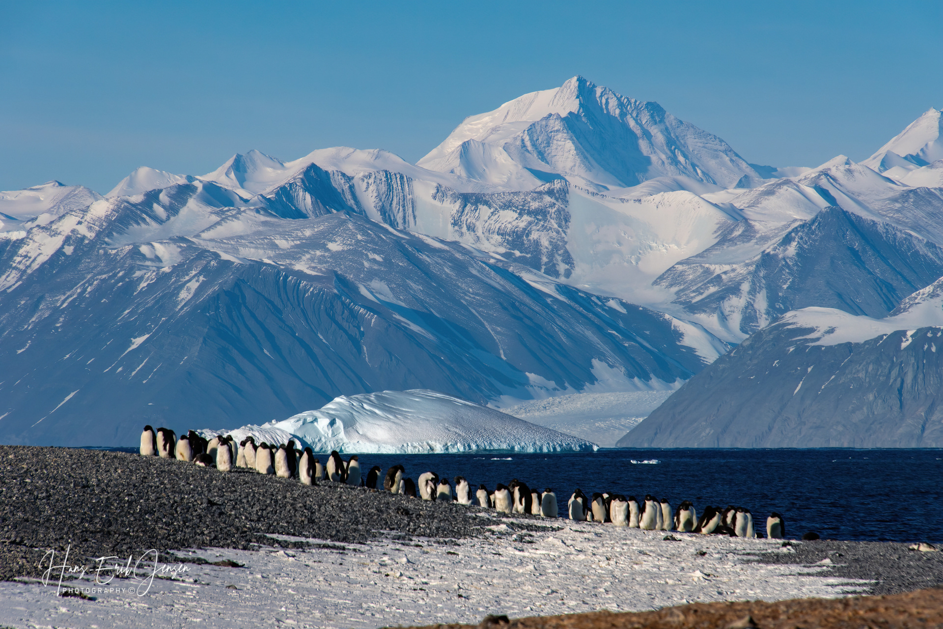 Antarctica 24