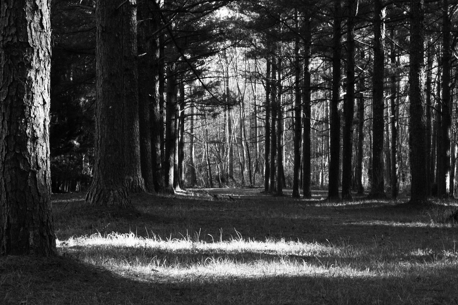 Digital Photography, training with Elizabeth Galecke