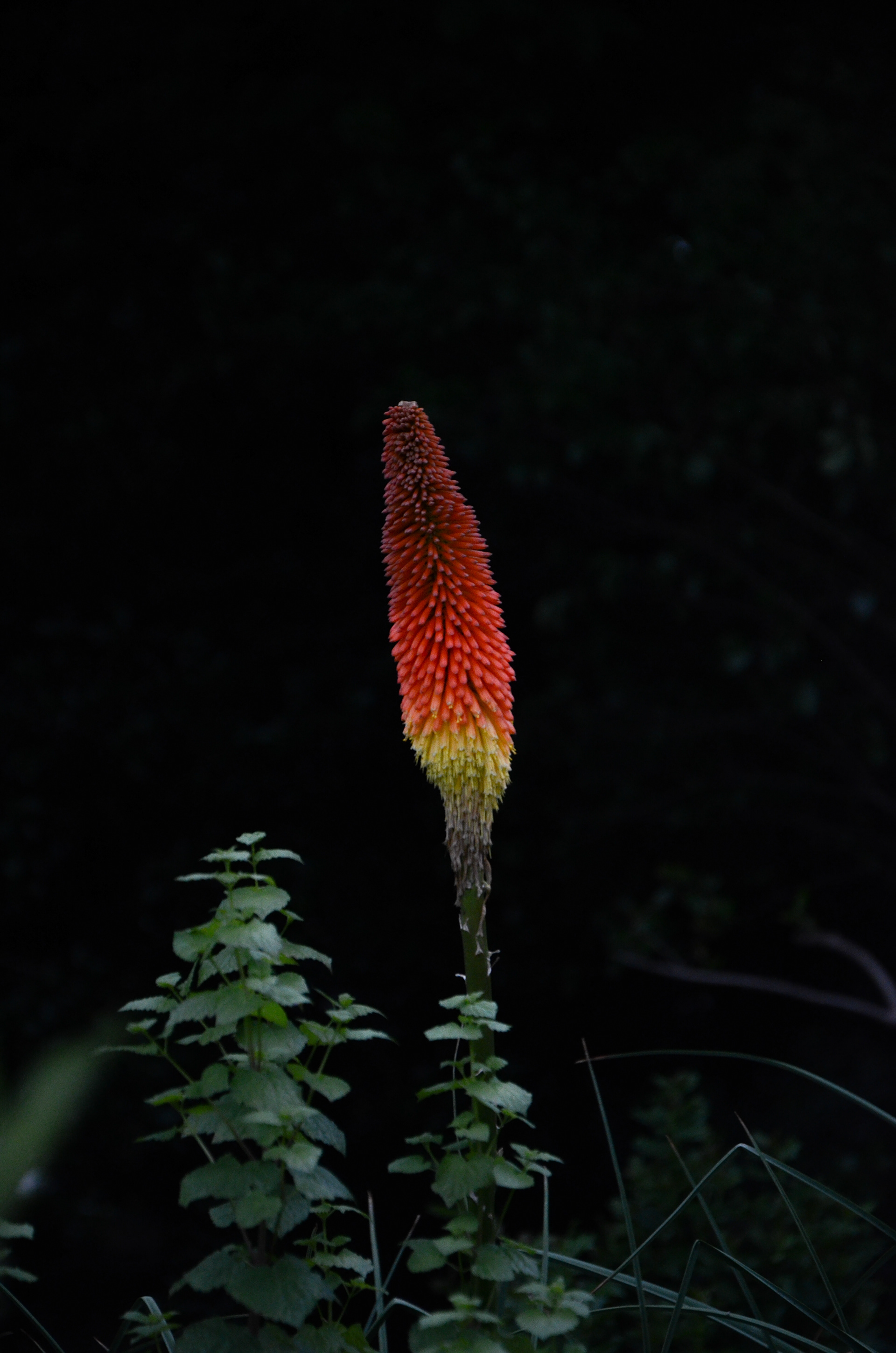 Digital Photography, training with Elizabeth Galecke