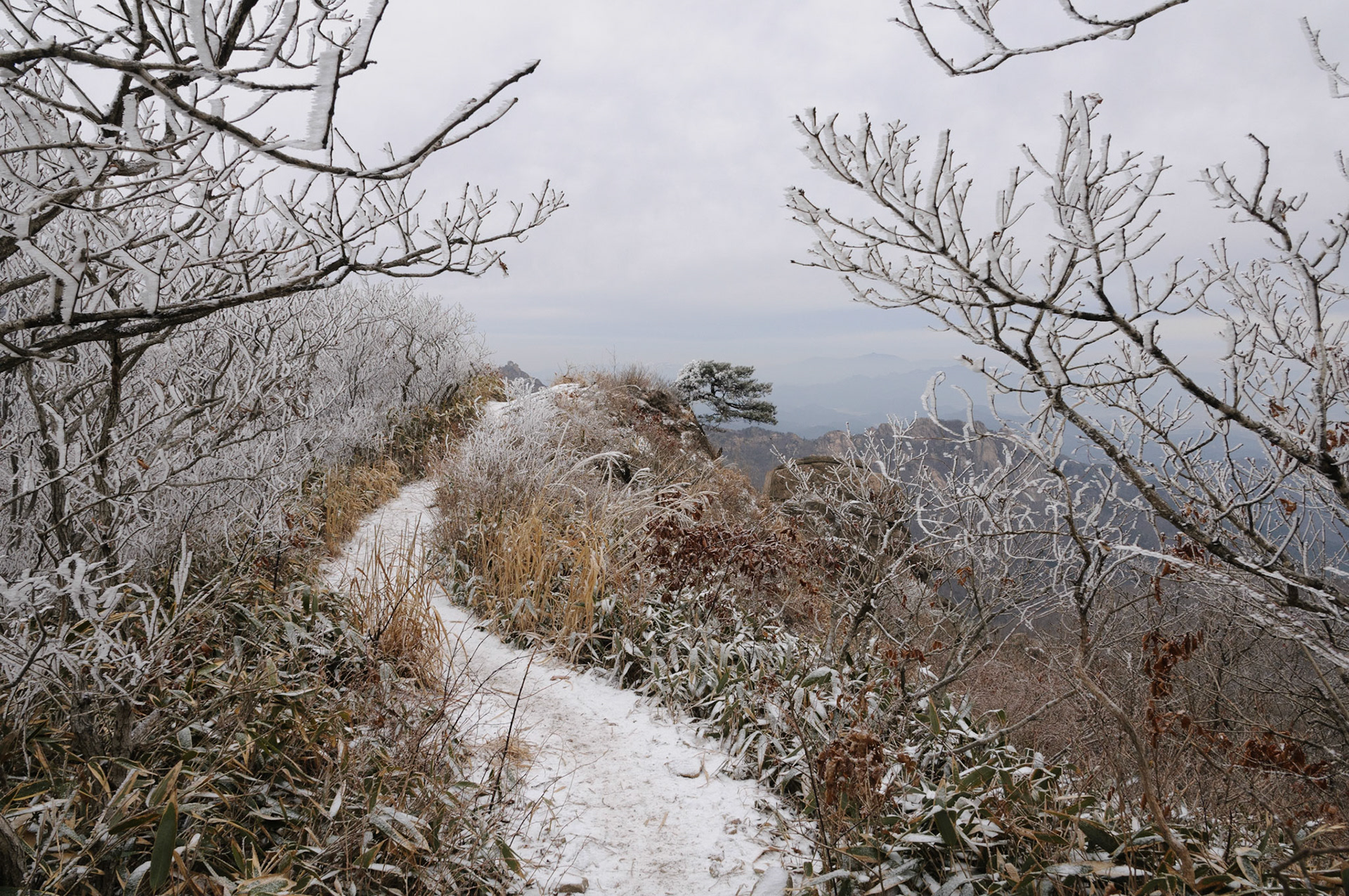 Wolchulsan NP