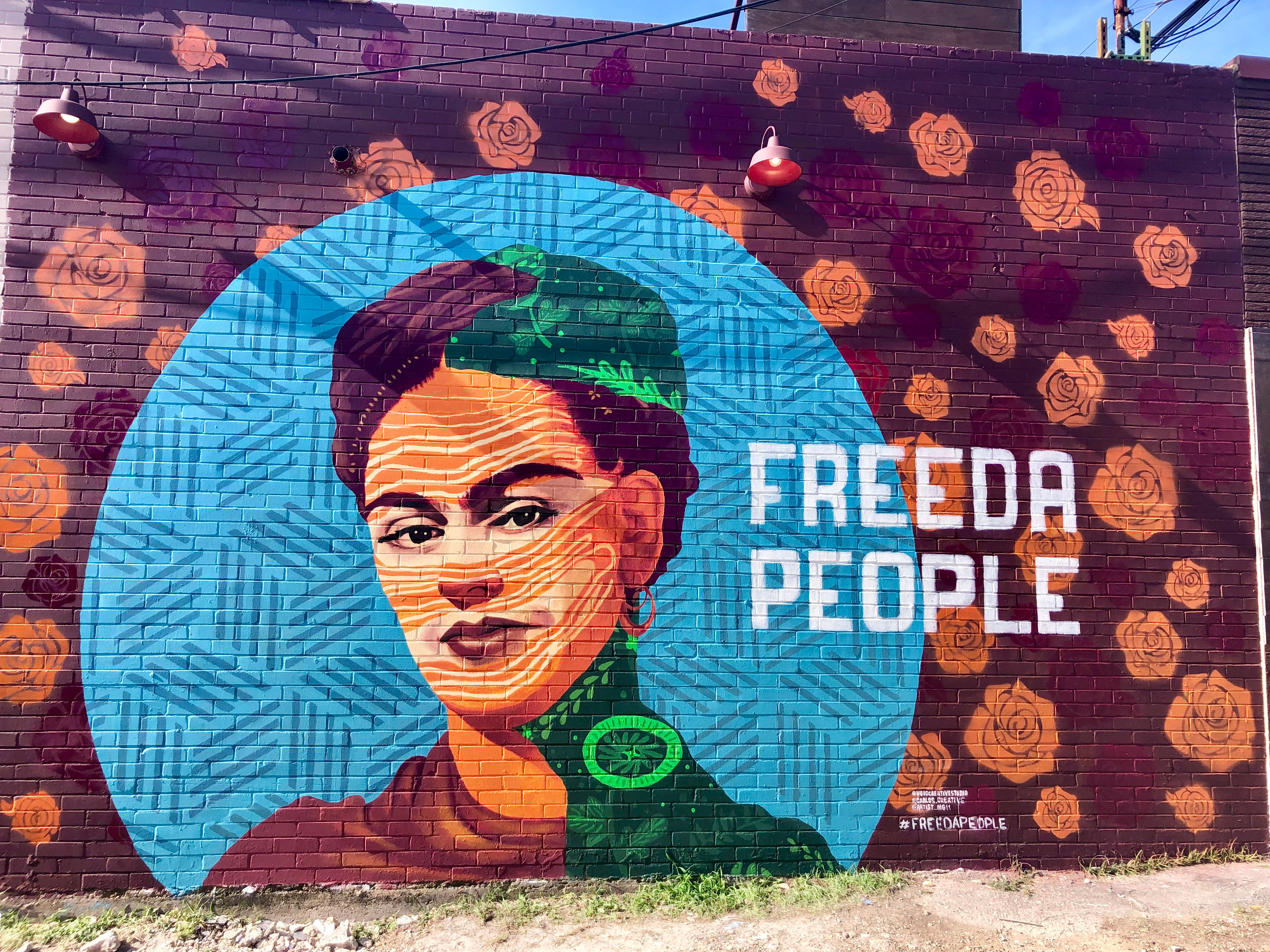 Carlos Creative Area X Book Series