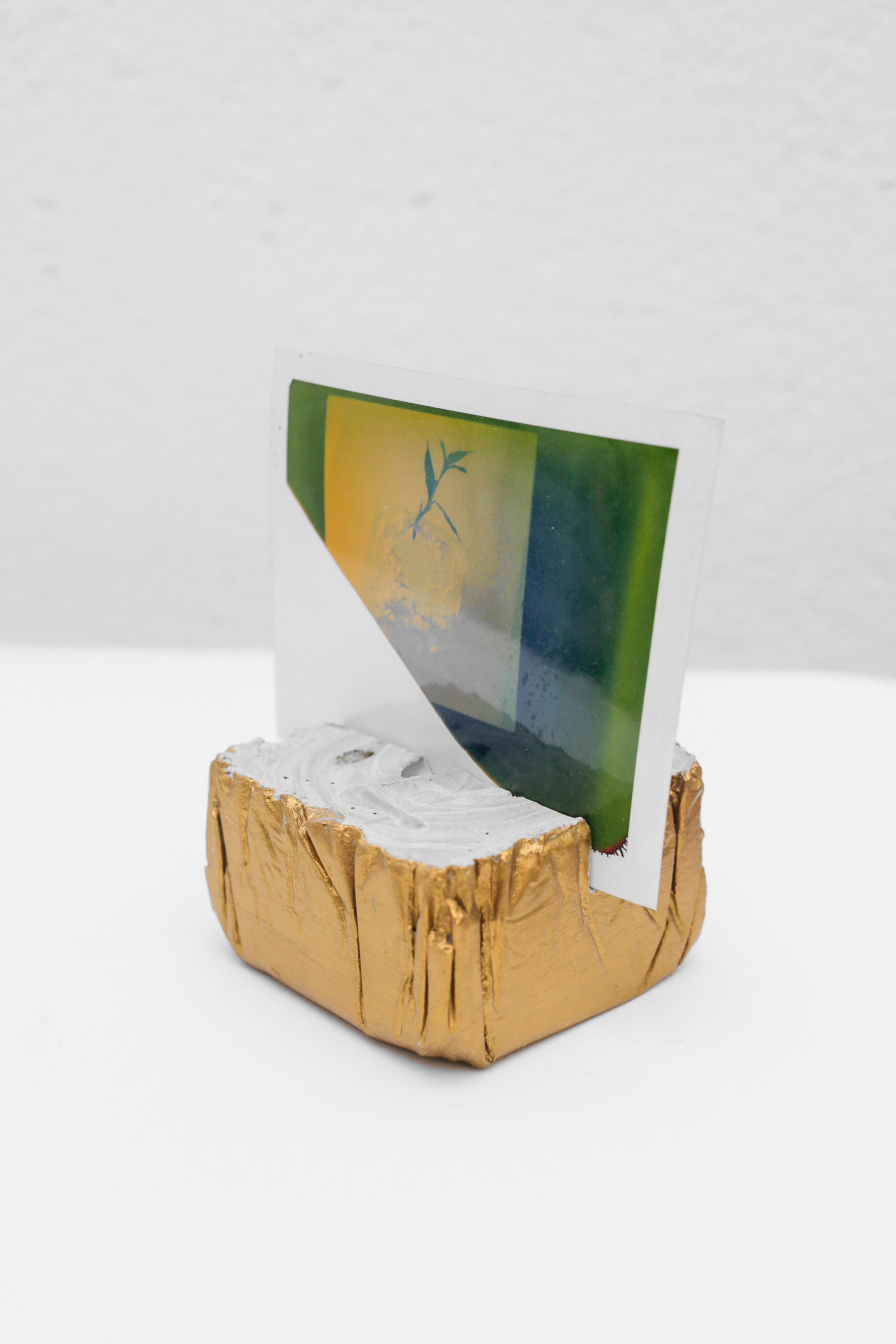 VÍNCULO concrete sculpture, dry leave, photography 50x50x80cm concrete sculpture, photography. 2019