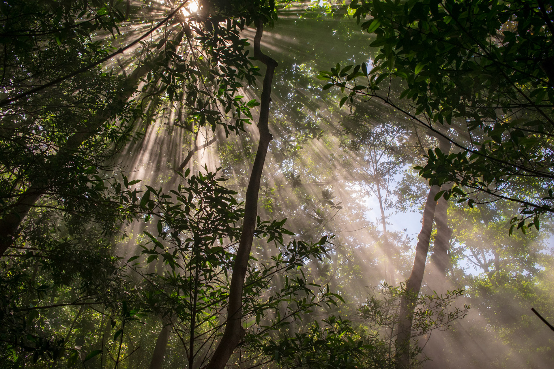 Rincón de la Vieja National Park, Costa Rica