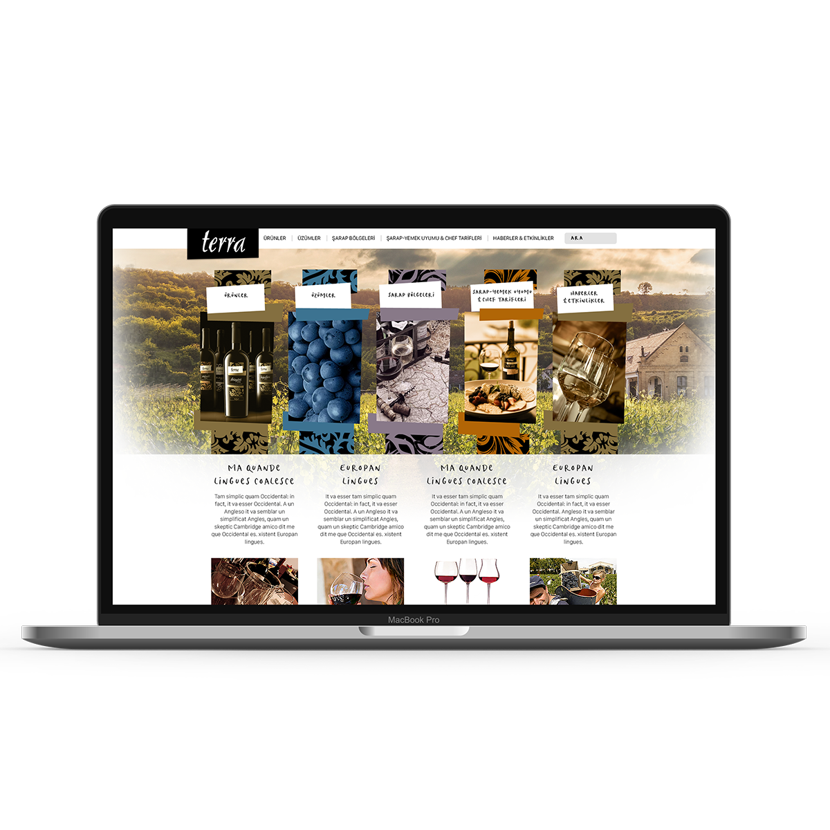 KAYRA/TERRA WINES