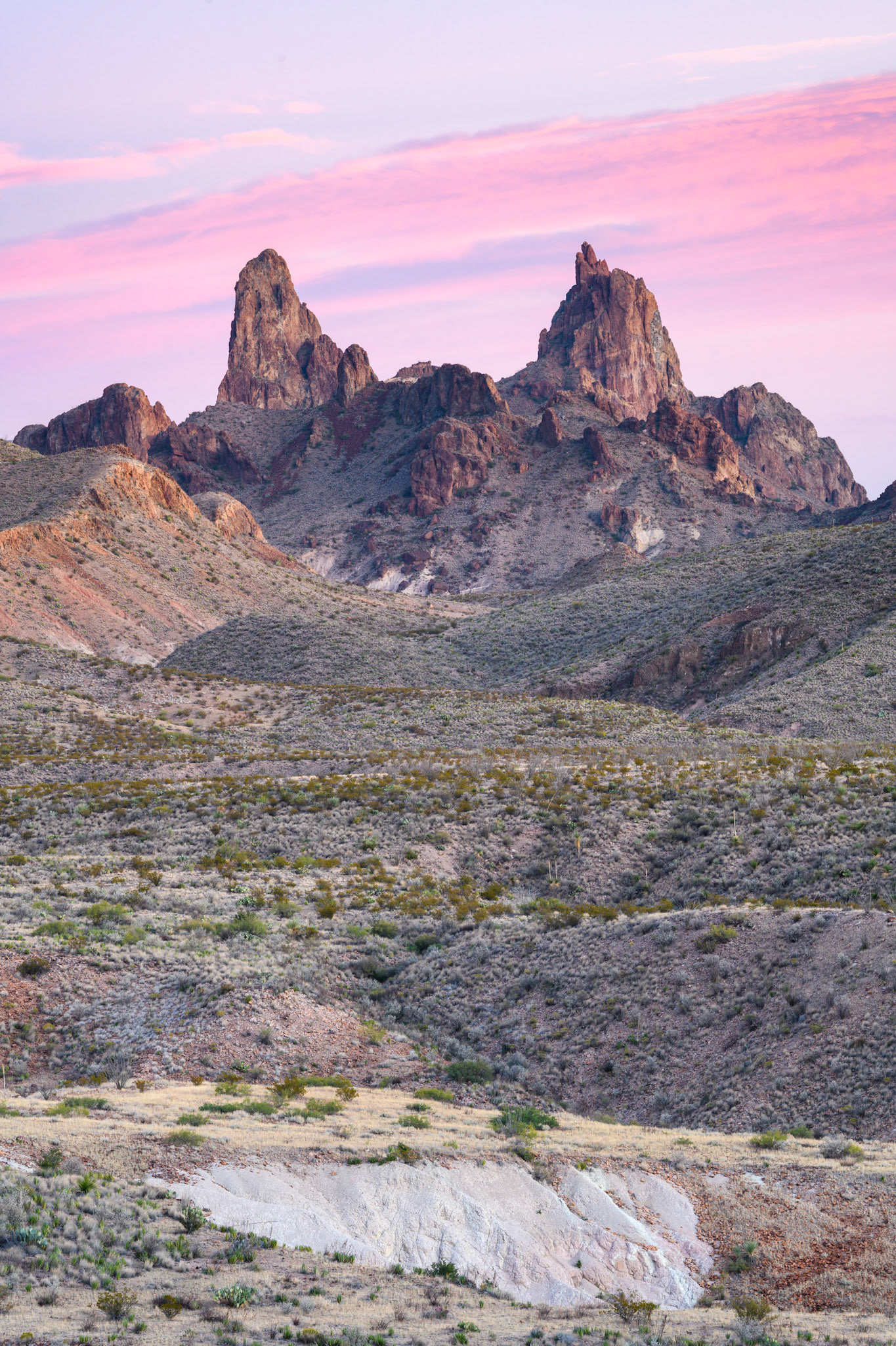Mule Ears Peaks in Big Bend National Park