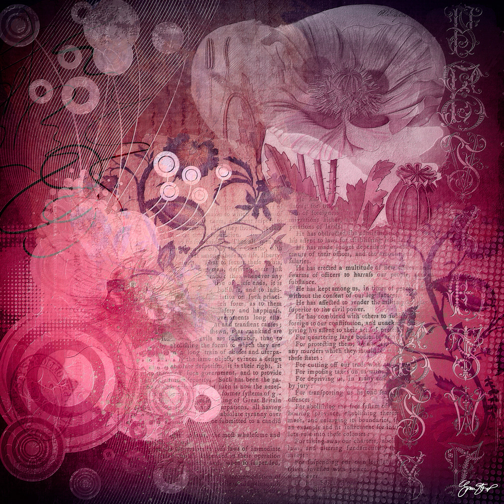 Mixed Media Collage Art by Gina Startup