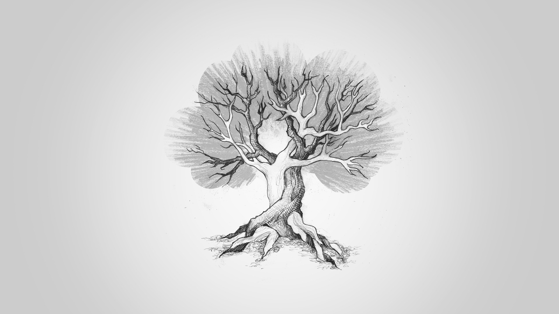 Custom Hand-drawn illustration of two trees growing together
