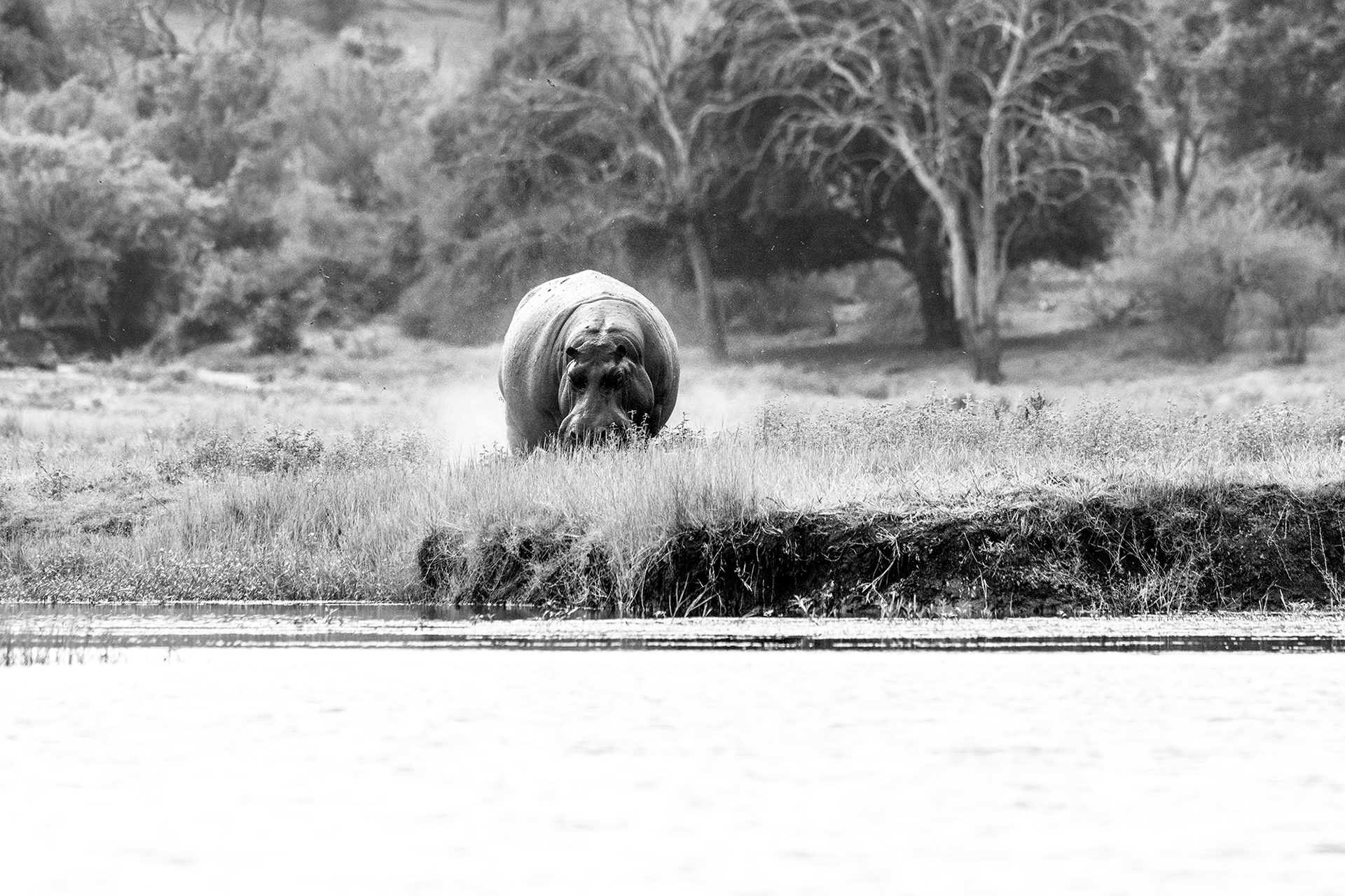 The Chobe River, Botswana