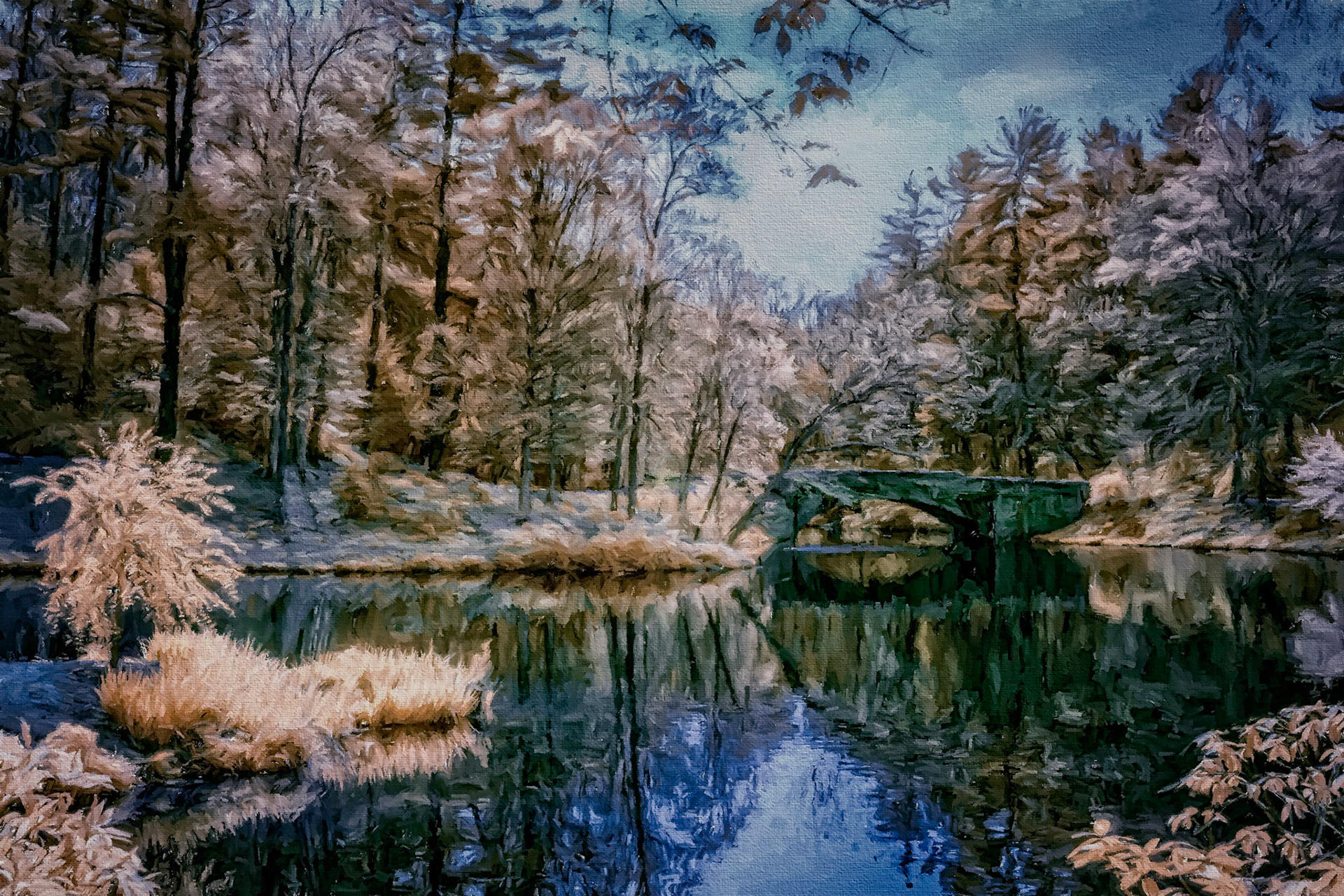 Biltmore Bass Pond (IR)