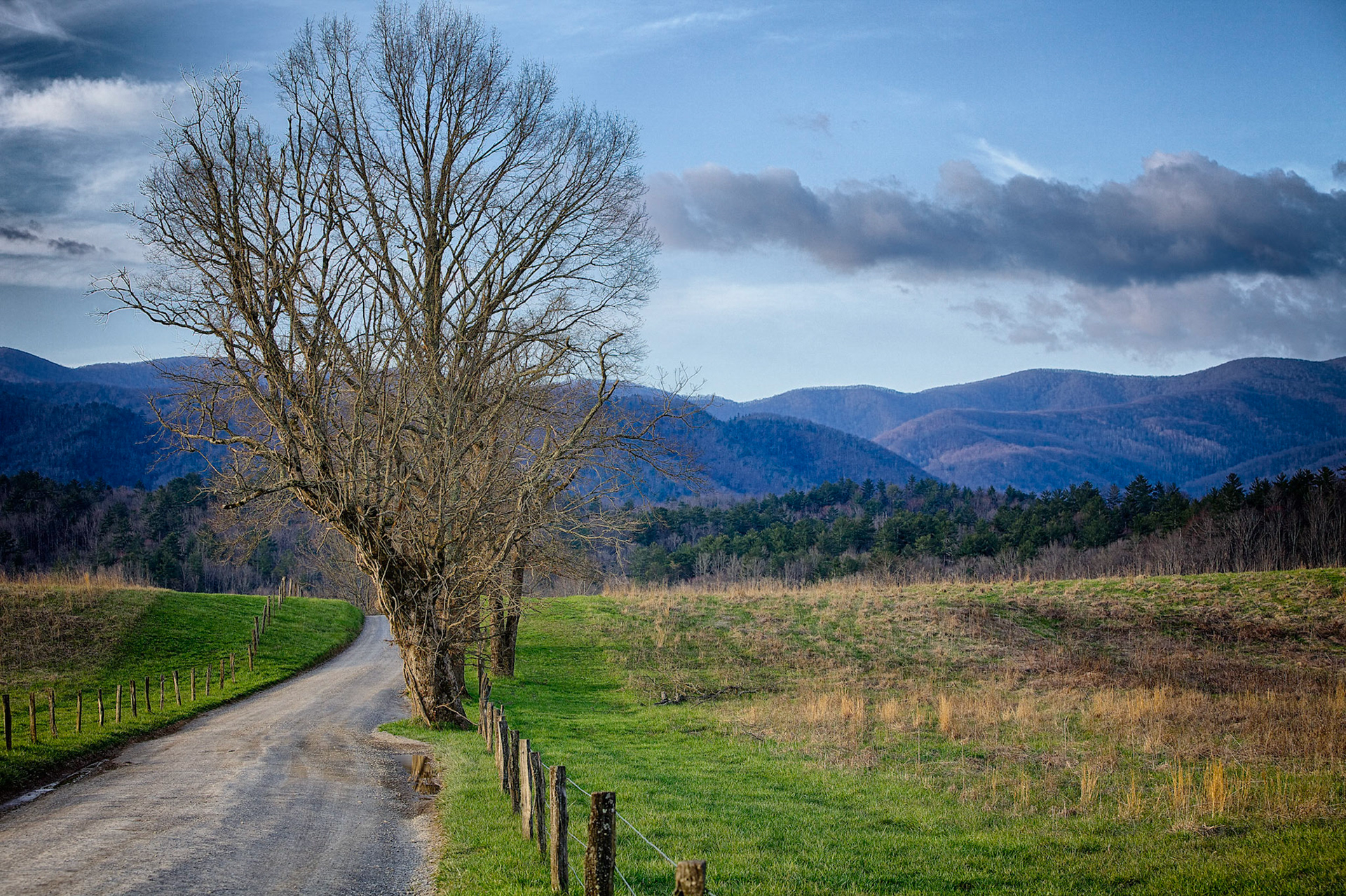 Hyatt Lane - Cades Cove, TN