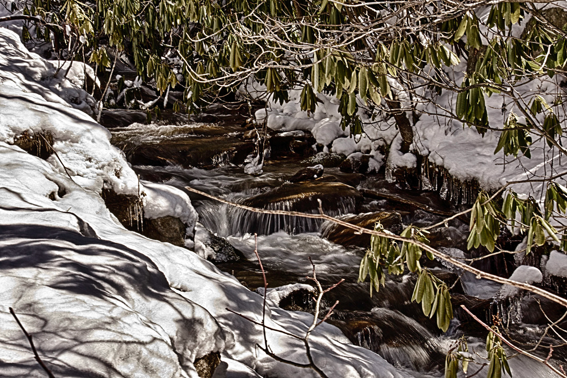 Snowy Creek