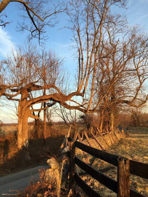 Virginia is lovely every season… and artist’s paradise!