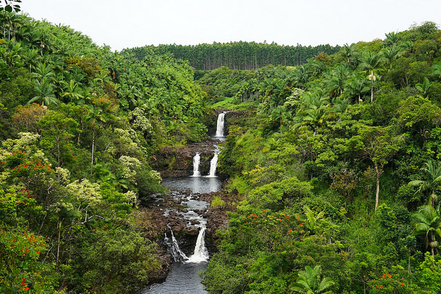 Umauma Falls on The Big Island, HI