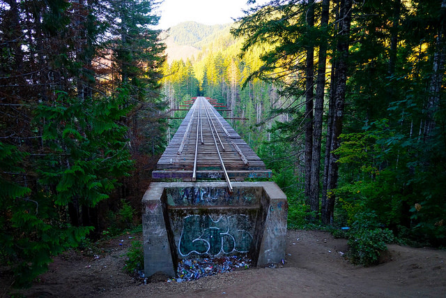 Vance Creek Bridge in Shelton, WA