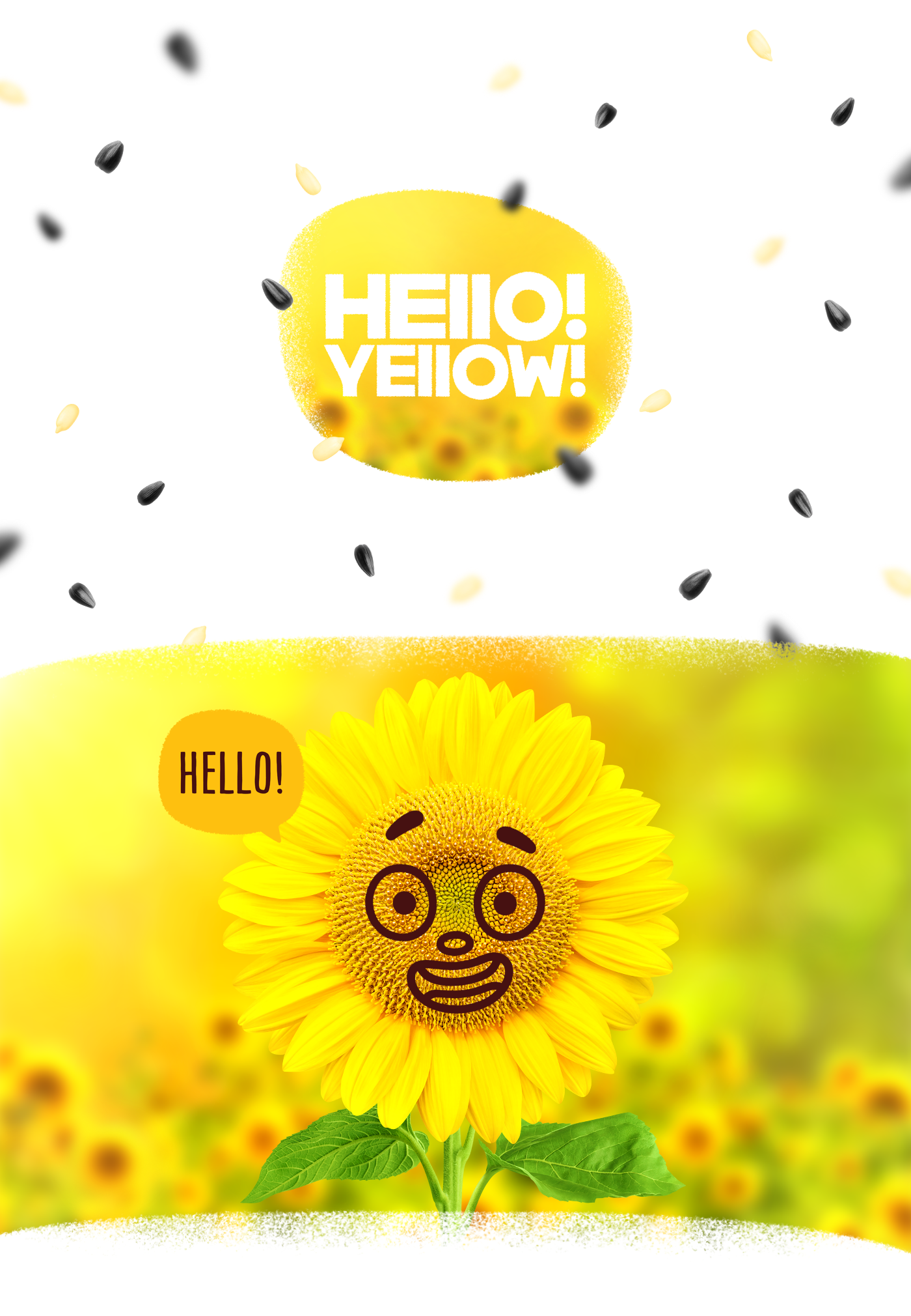 Хеллоу желтый. Семена hello. Hello Yellow. Желтый из брендов френдс. Roasted Sunflower Seeds Packaging Design.